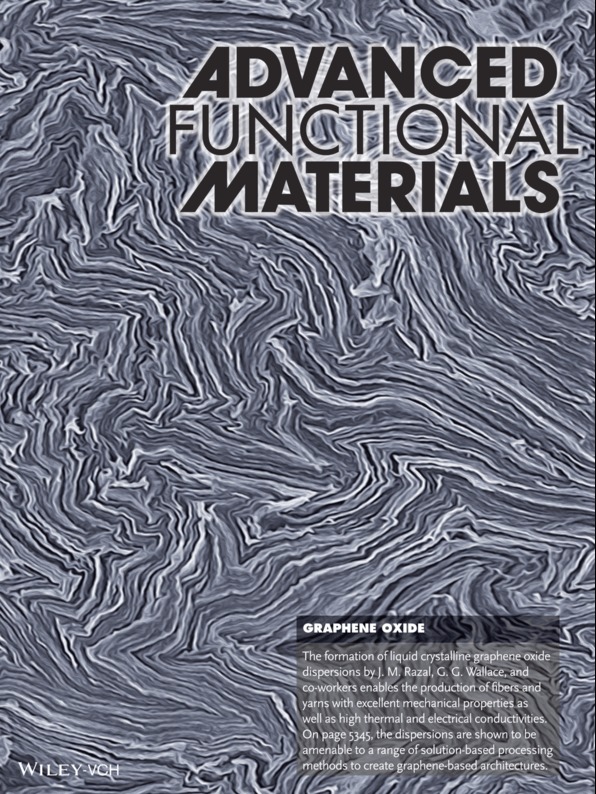 Advanced Functional Materials · 2013 frontispiece