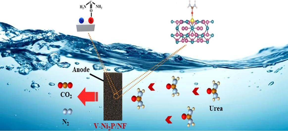 Vanadium-doped nickel phosphide for urea electro-oxidation